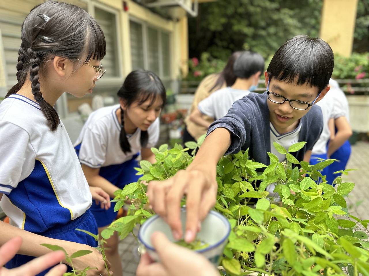 生態樂園b